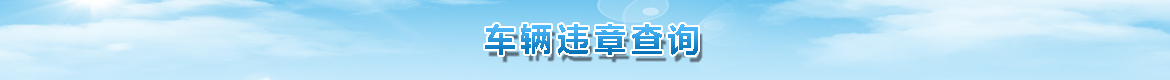 车辆违章查询