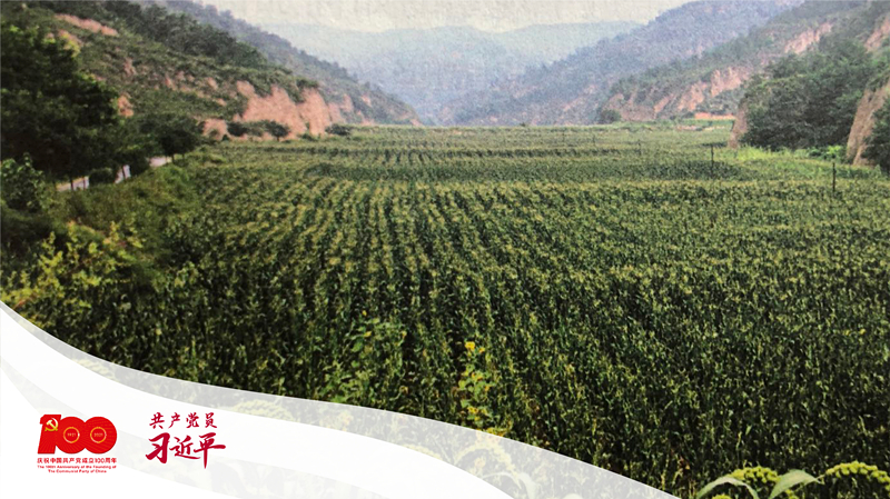 习近平带领梁家河村民修建的淤地坝。 (图片来源于《习近平的七年知青岁月》)